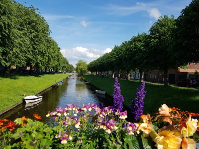 Holiday house Limosa House - Environment photo 27