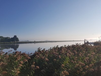 Holiday house Limosa House - Environment photo 28