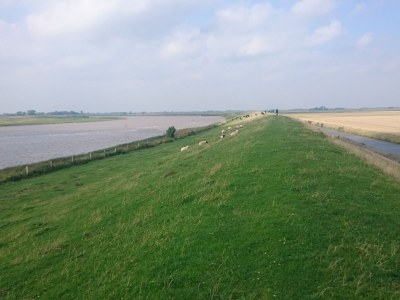 Holiday house Limosa House - Environment photo 37