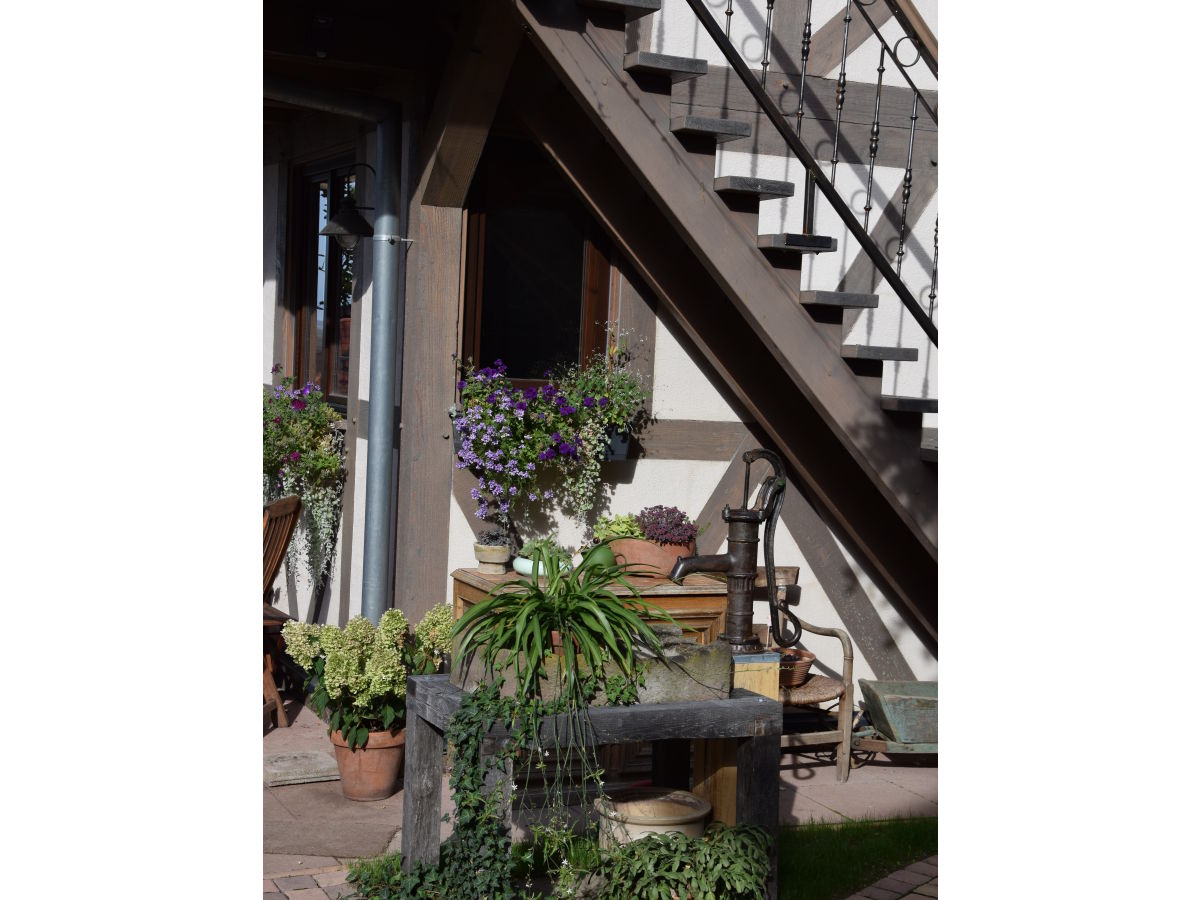 Holiday apartment the old plane - Outdoor photo 2