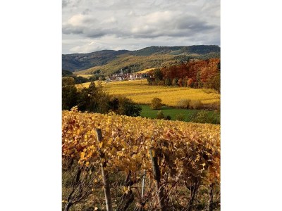 Holiday apartment the old plane - Outdoor photo 12