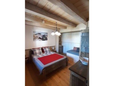 Holiday apartment the old plane - Features photo 21