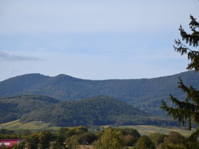 Holiday apartment the old plane - Environment photo 22