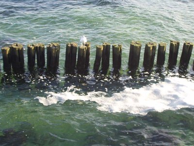 Holiday apartment Walter. - Environment photo 15