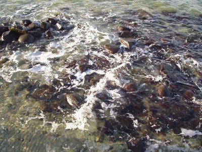 Holiday apartment Walter. - Document photo 22