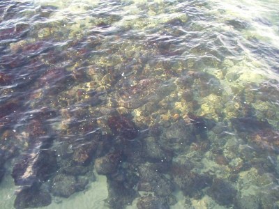 Holiday apartment Walter. - Document photo 23