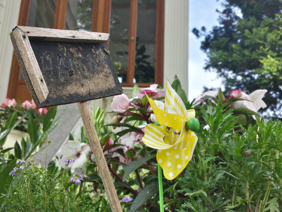 Holiday apartment the townhouse estate "Villa Vita" - Outdoor photo 5