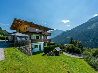 Apartment Chalet in Wald nahe Zillertal Skigebiet in Nationalpark Hohe Tauern - Apartment