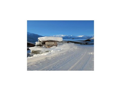 Apartment Chalet in Wald nahe Zillertal Skigebiet - Outdoor photo 6