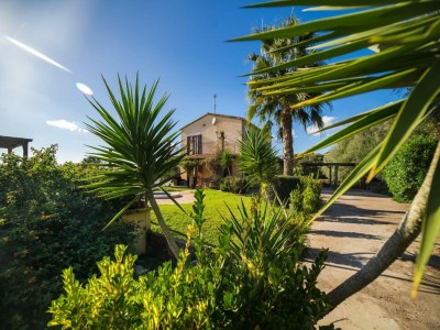 Holiday house Villa in Muro near Can Picafort Beach - Outdoor photo 6