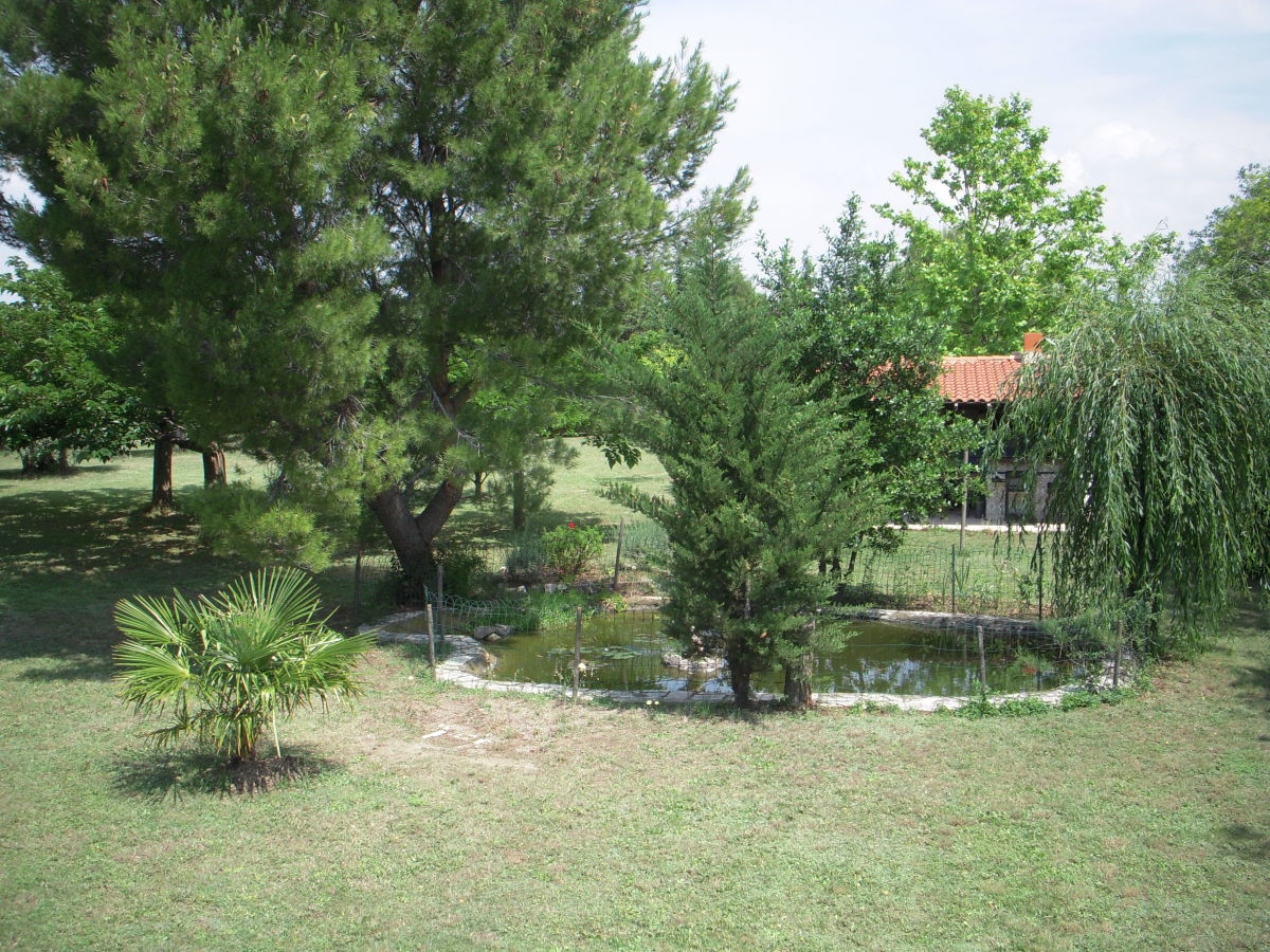 Holiday house Mas des Oliviers - Outdoor photo 5