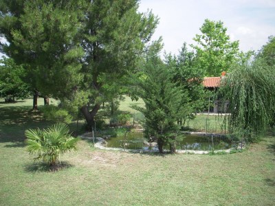 Holiday house Mas des Oliviers - Outdoor photo 5