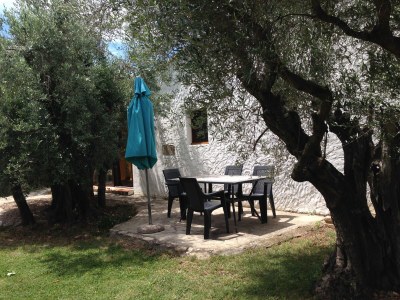 Holiday house Mas des Oliviers - Outdoor photo 8
