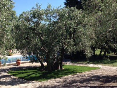 Holiday house Mas des Oliviers - Outdoor photo 9