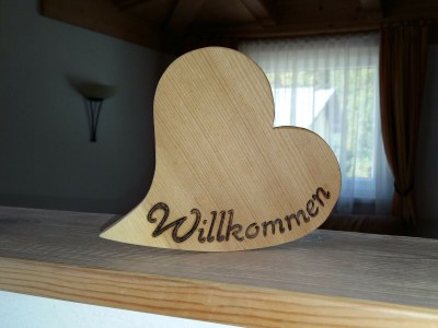 Holiday apartment Steiner's Wellness-Appartements - Features photo 9