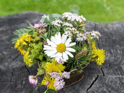 Holiday apartment Steiner's Wellness-Appartements - Environment photo 27