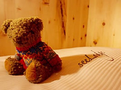 Holiday house seelodge piburg - Features photo 13