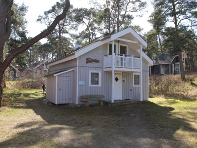 Holiday house Pine tree by the beach - Outdoor photo 4