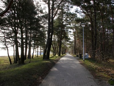 Holiday house Pine tree by the beach - Environment photo 19