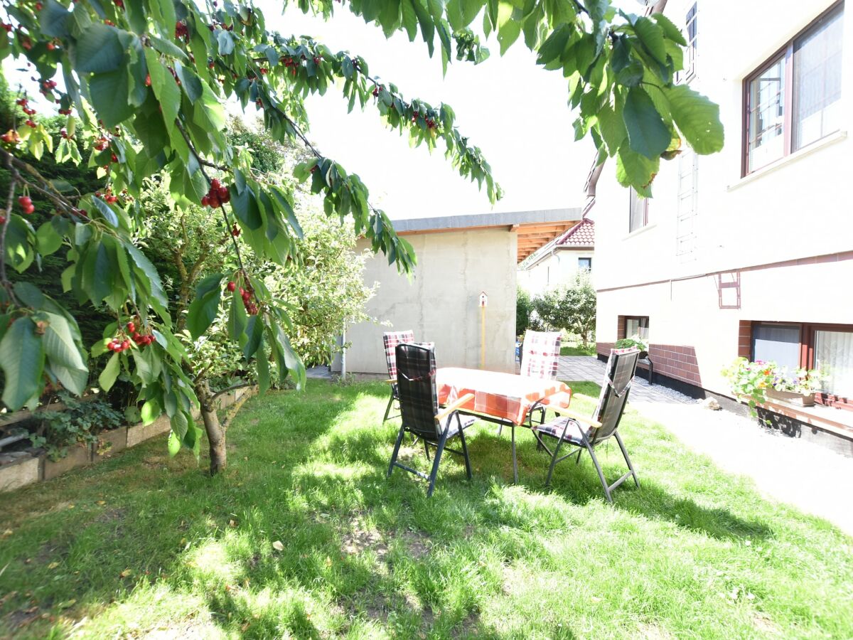 Apartment Schönes Appartement am Meer in Rerik