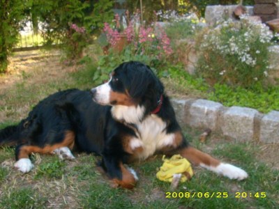 Apartment Schönes Appartement am Meer in Rerik - Outdoor photo 39