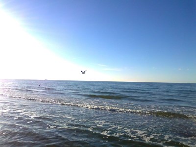 Apartment Schönes Appartement am Meer in Rerik - Outdoor photo 40