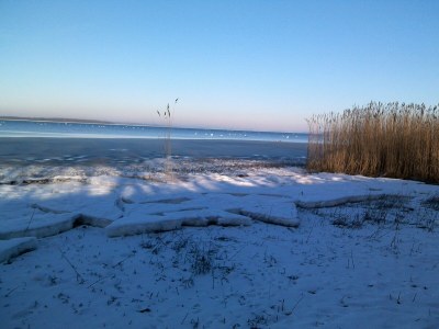 Apartment Charmante Ferienwohnung am Salzhaff Familienurlaub - Environment photo 31