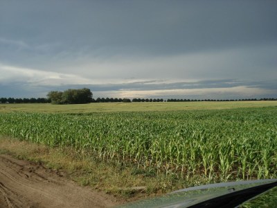 Apartment Charmante Ferienwohnung am Salzhaff Familienurlaub - Environment photo 32