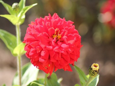 Apartment Charmante Ferienwohnung am Salzhaff Familienurlaub - Outdoor photo 38