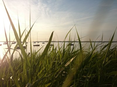 Holiday house Exklusiver Bungalow mit Terrasse in Rerik - Environment photo 31