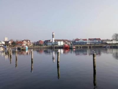 Holiday house Exklusiver Bungalow mit Terrasse in Rerik - Environment photo 37