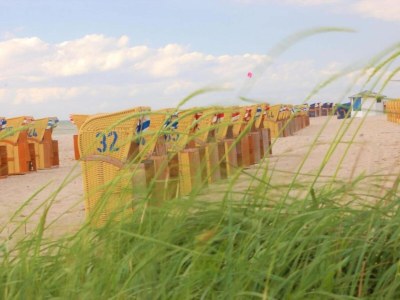 Holiday house Exklusiver Bungalow mit Terrasse in Rerik - Environment photo 38