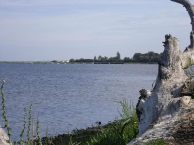 Bungalow Boiensdorf Beachside Bungalow - Environment photo 36