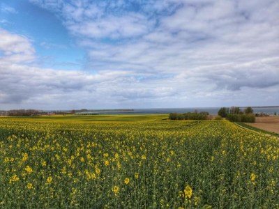 Bungalow Boiensdorf Beachside Bungalow - Environment photo 40