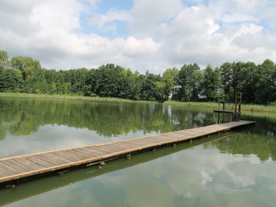 Apartment Gemütliche Ferienwohnung mit Garten in Walkendorf - Environment photo 23