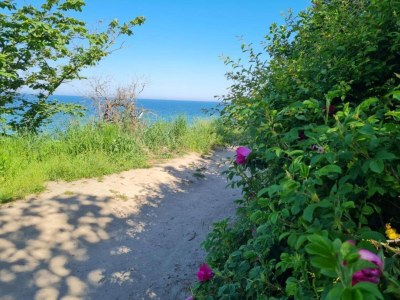 Apartment Stilvolle Wohnung mit Garten in Rerik - Environment photo 31
