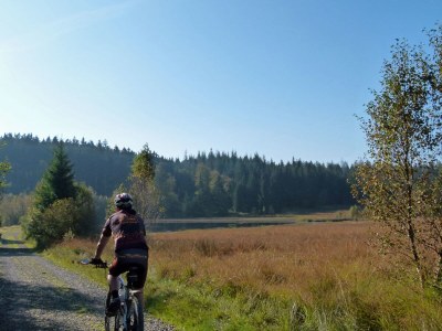 Holiday house Gehlen Hohes Venn 2 - Environment photo 20
