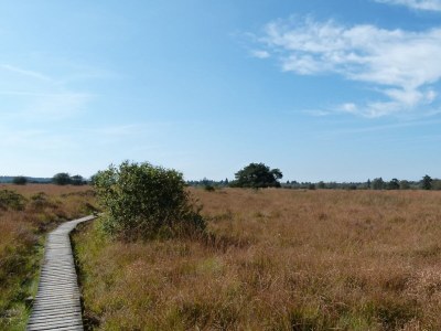 Holiday house Gehlen Hohes Venn 2 - Environment photo 21