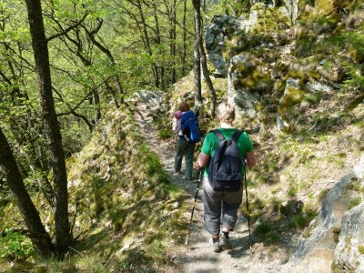 Holiday house Gehlen Hohes Venn 2 - Environment photo 22