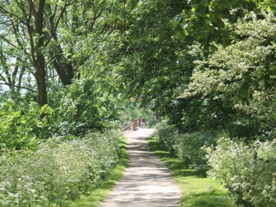 Apartment Duinhof I - 08 - Environment photo 17