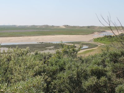 Apartment FARO 4 - Environment photo 17