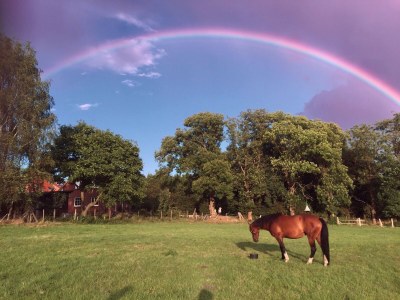 Holiday apartment at Bunge Heath Farm - Outdoor photo 6