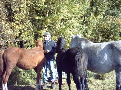 Holiday apartment at Bunge Heath Farm - Environment photo 16