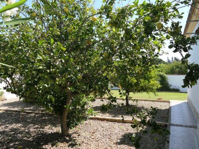 Holiday house 0510 Casa Peter Pan - Outdoor photo 7