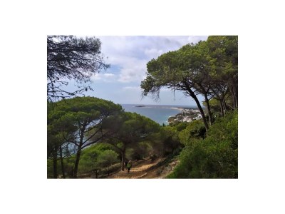 Holiday house 0531 Casa Feliz - Environment photo 21