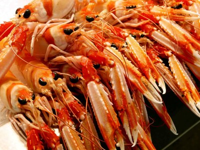 Holiday house 0531 Casa Feliz - Environment photo 31