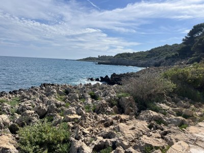 Villa St. Julien - Environment photo 40