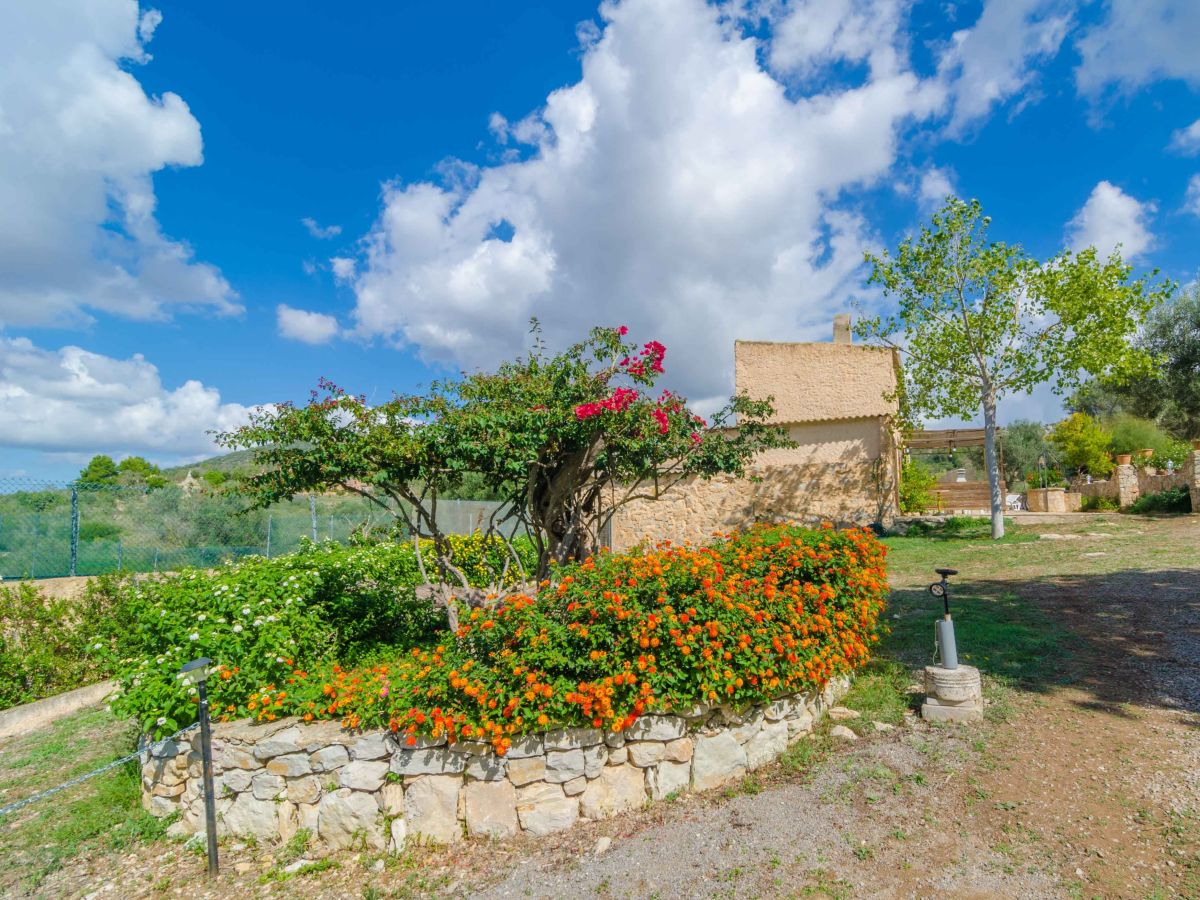 Villa La Cigarra Can Carrasco - Outdoor photo 4