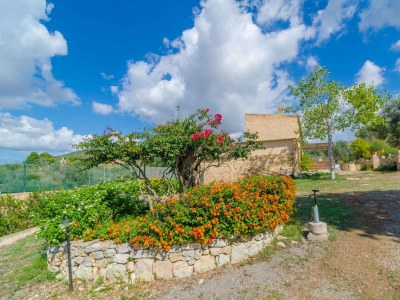 Villa La Cigarra Can Carrasco - Outdoor photo 4