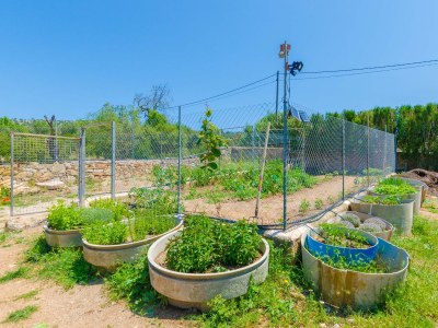 Villa La Cigarra Can Carrasco - Outdoor photo 27